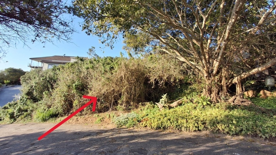 0 Bedroom Property for Sale in Seafield Eastern Cape